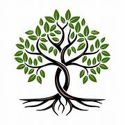 वृक्ष प्राधिकरणाकडून परवानग्या